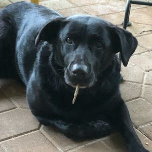 Meet your Posher, Debra